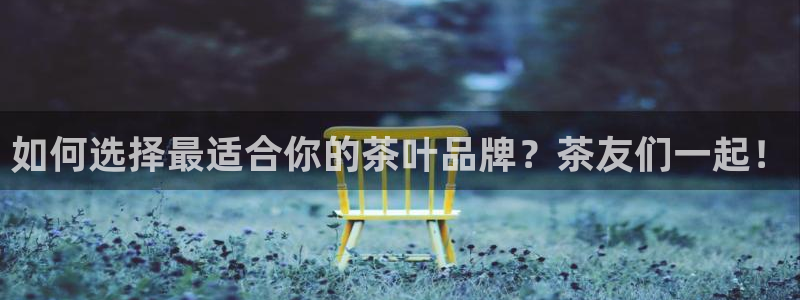 鸿运推单平台