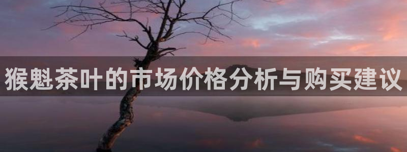 鸿运当头借款平台