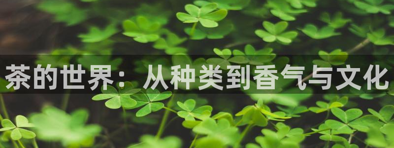 鸿运彩 票诈骗平台