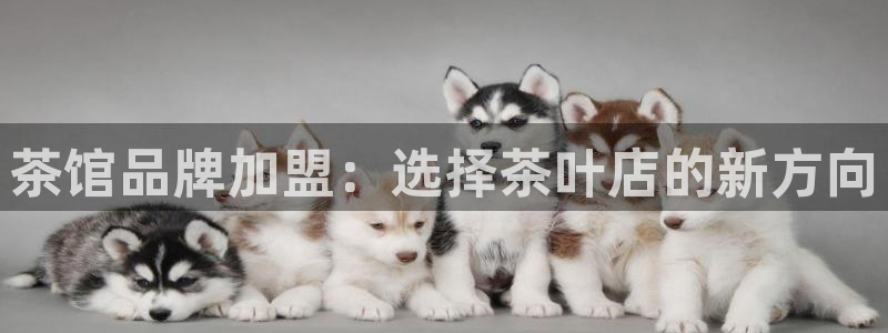 鸿运国际平台平台怎么样