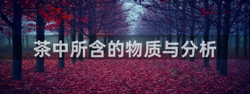 鸿运平台代还骗局