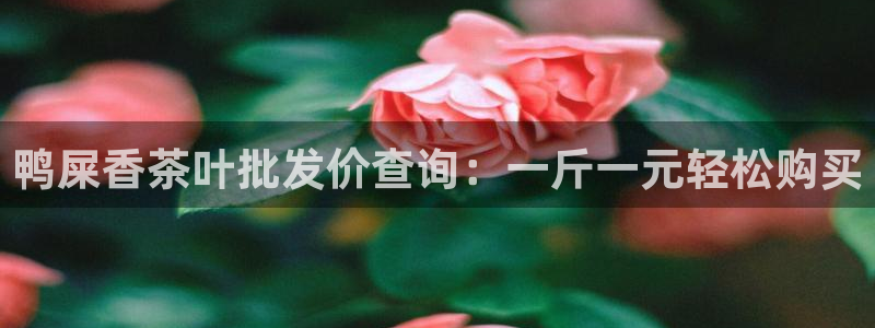 鸿运到平台注册