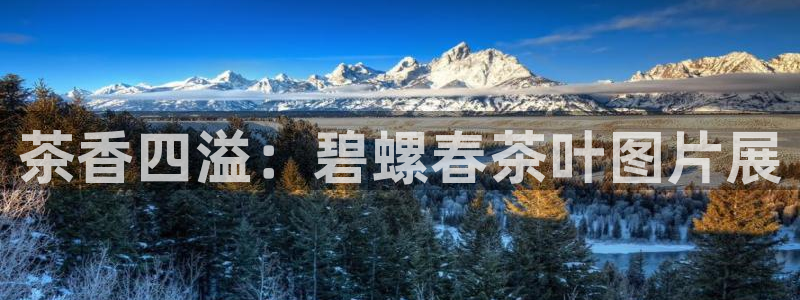 鸿运平台刷流水