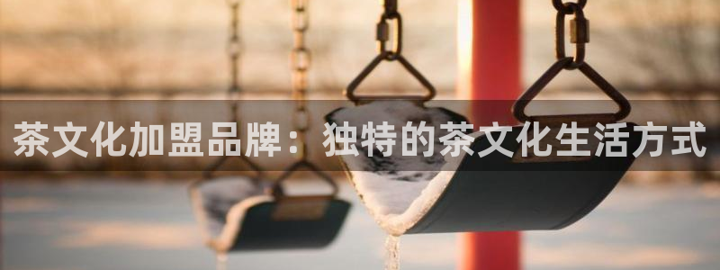 鸿运最新平台是什么
