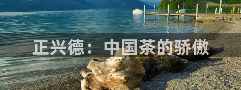 鸿运平台被黑