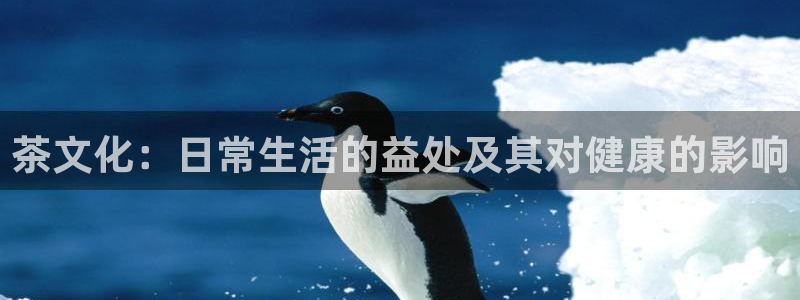 菲律宾鸿运彩票平台