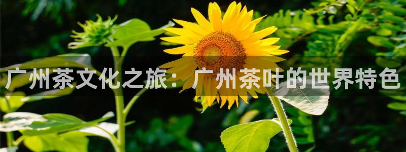 鸿运贷款平台正规吗