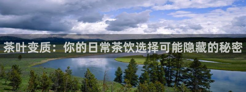 鸿运平台进入登录界面