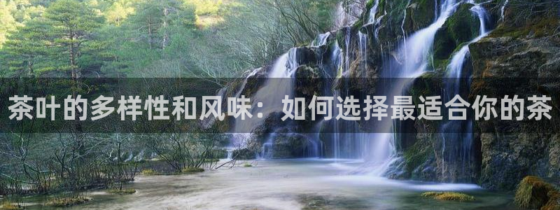 鸿运平台入口