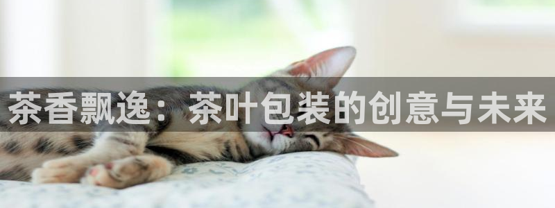 鸿运聊平台