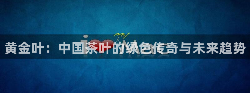 鸿运连锁管理平台