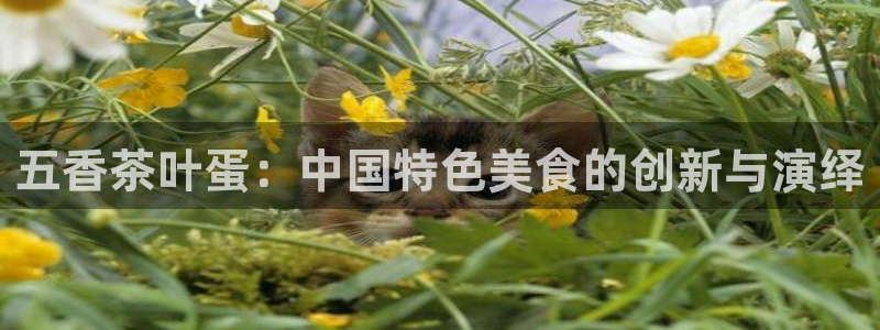 鸿运平台平