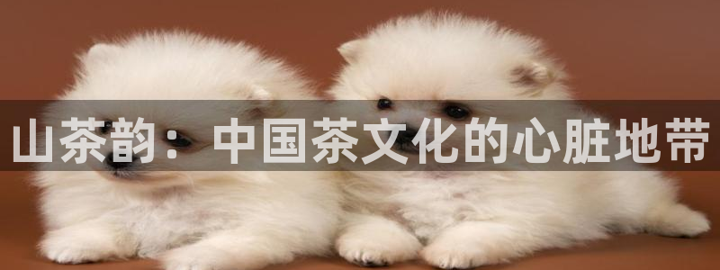 鸿运最佳网投平台