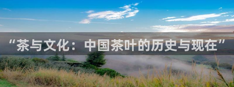 鸿运画室平台介绍