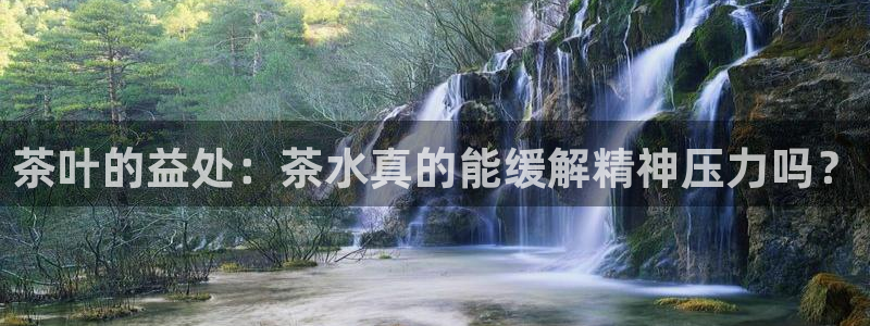 鸿运食品团购平台
