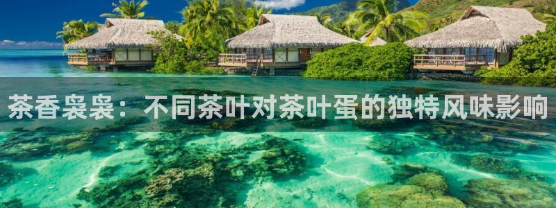 鸿运卡盟平台