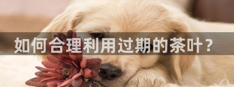 鸿运通娱乐平台