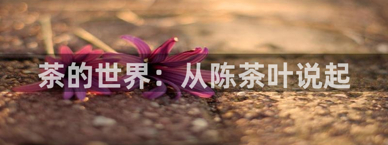 鸿运布艺团购平台