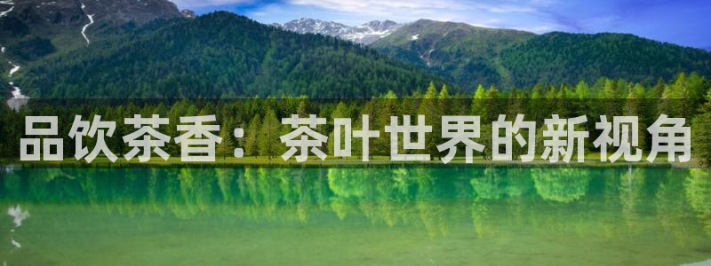 鸿运投资平台是什么平台