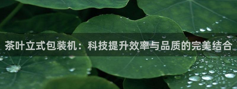 鸿运平台运