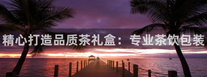 鸿运国际平台代理
