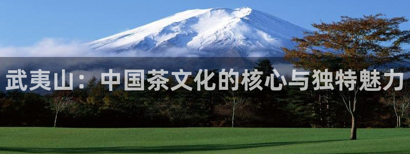 鸿运最新平台