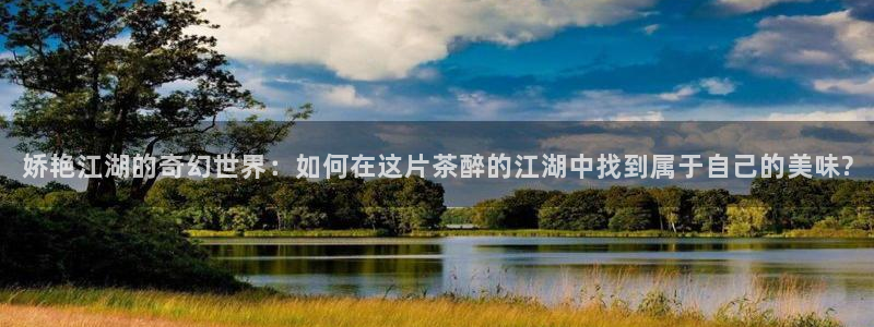 鸿运彩票专业购采平台