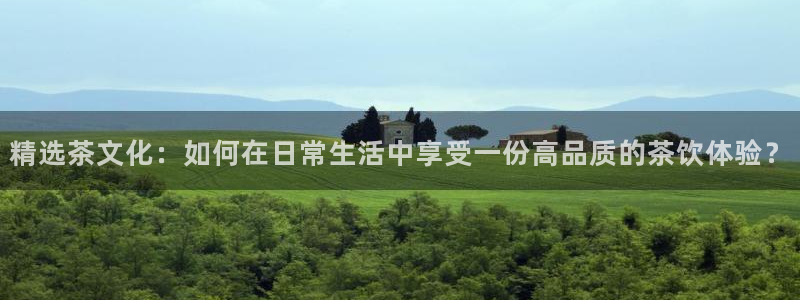 鸿运集团平台招聘信息