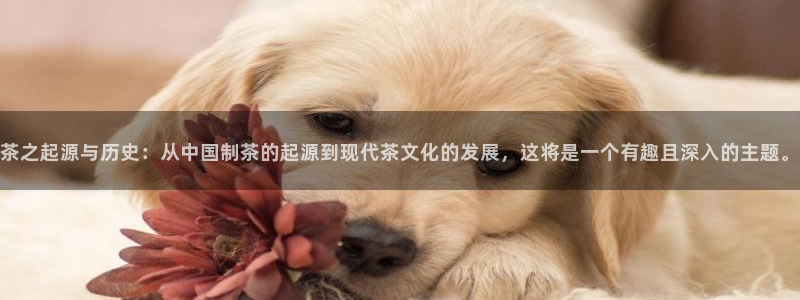 鸿运体彩平台