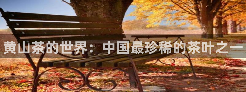 鸿运app是什么平台