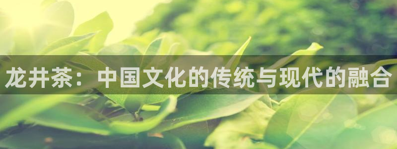 鸿运信息平台