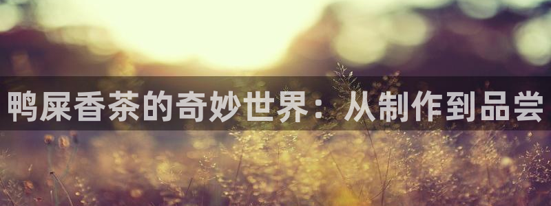 鸿运满堂平台