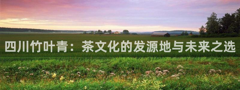 鸿运棋牌app游戏平台