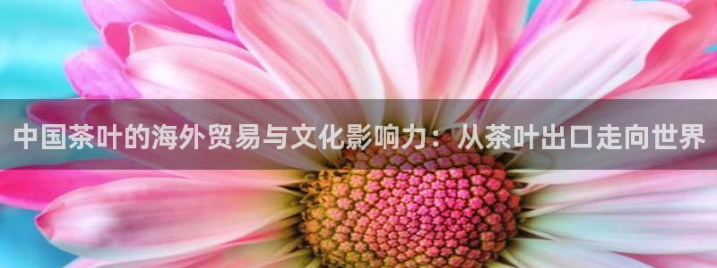 鸿运最佳网投平台