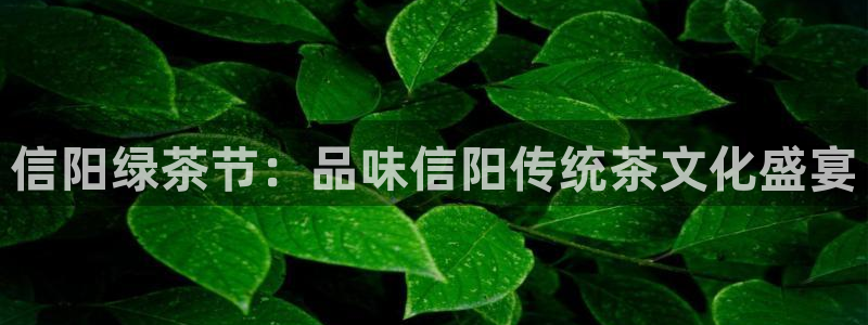 鸿运投资平台是什么