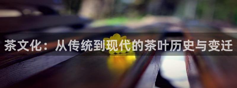 鸿运聊天计划平台
