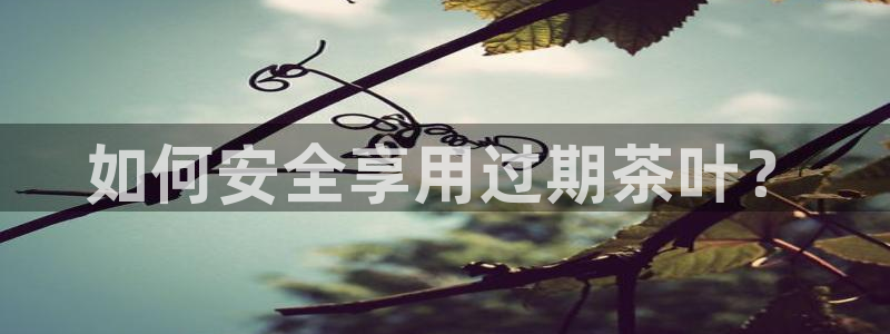 香港鸿运投资平台