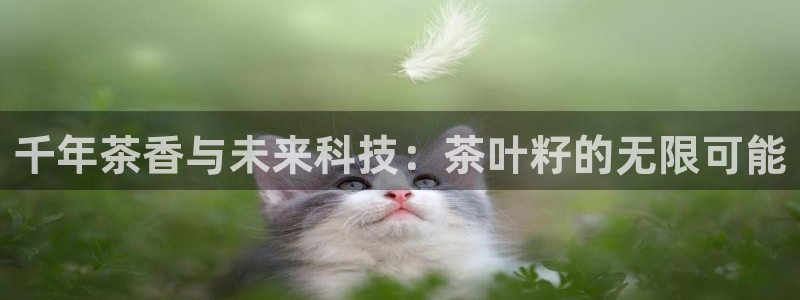 鸿运通平台可靠吗