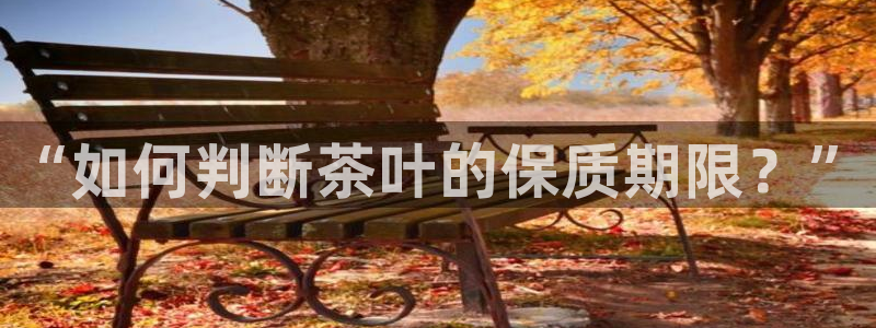 鸿运做单平台