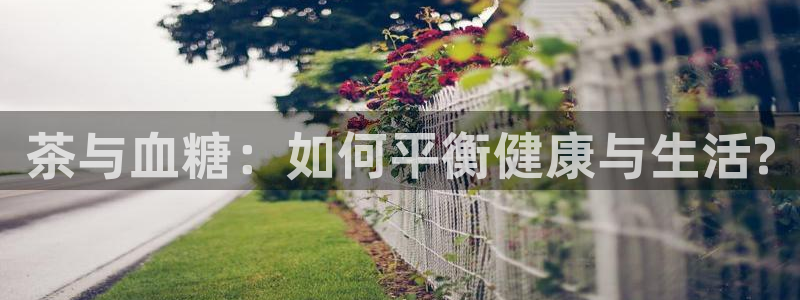 铜陵鸿运拍卖平台