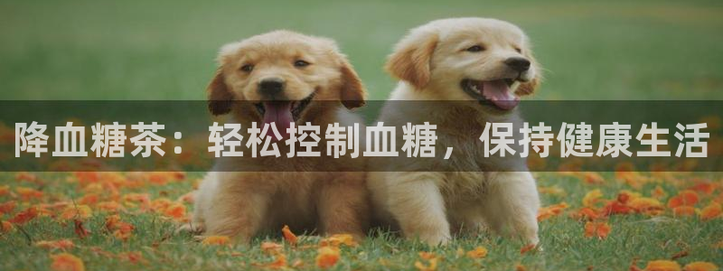 鸿运网站平台