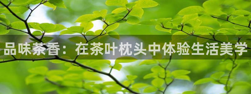鸿运彩平台