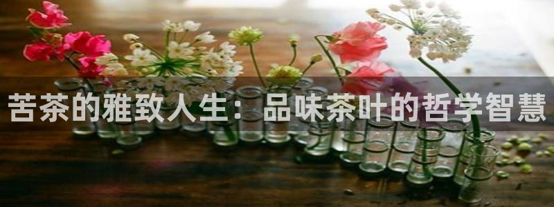 怎么进鸿运彩票平台