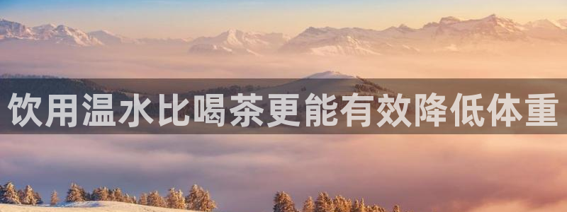 鸿运牛骨服务平台