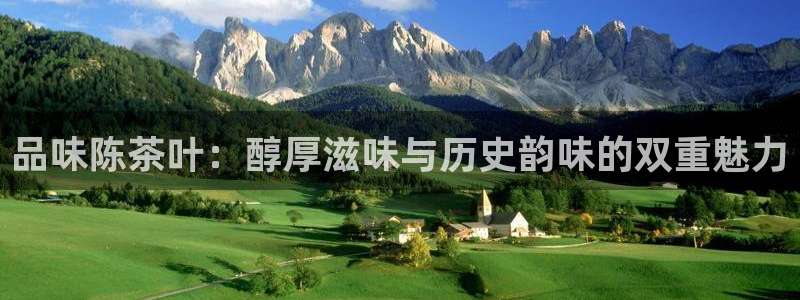 鸿运充值平台