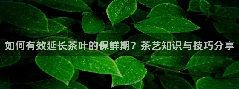 邹平台子鸿运