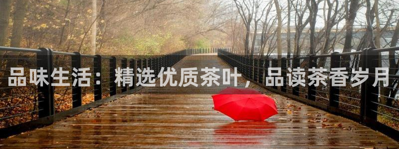 鸿运彩票网络平台下载