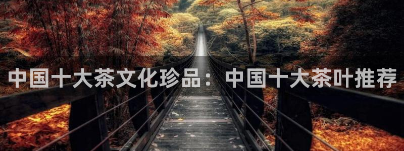 鸿运汽车团购平台