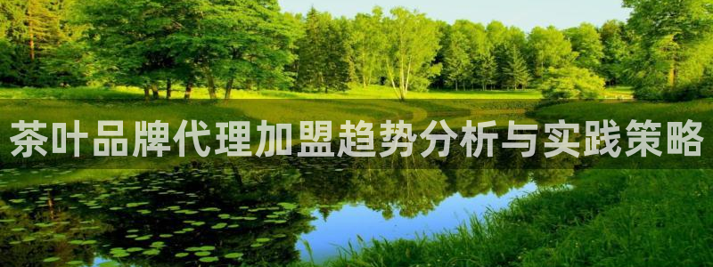 鸿运军团平台被骗
