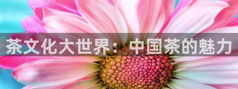 鸿运平台在线客服